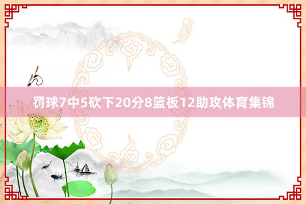 罚球7中5砍下20分8篮板12助攻体育集锦
