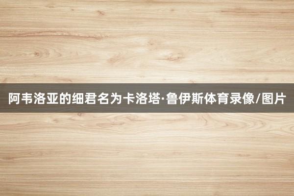 阿韦洛亚的细君名为卡洛塔·鲁伊斯体育录像/图片