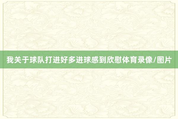 我关于球队打进好多进球感到欣慰体育录像/图片