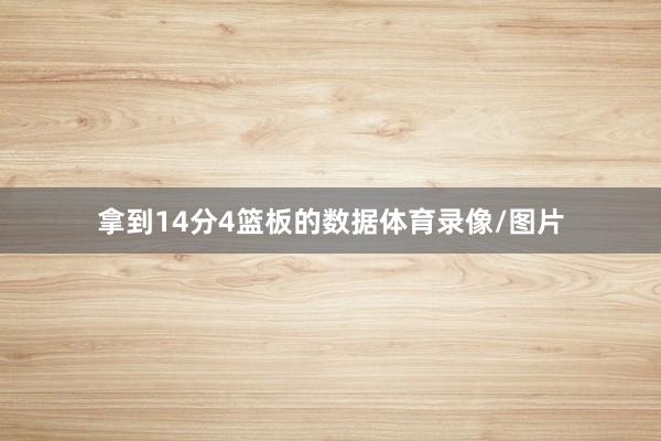 拿到14分4篮板的数据体育录像/图片