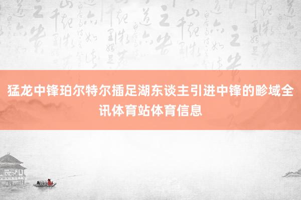 猛龙中锋珀尔特尔插足湖东谈主引进中锋的畛域全讯体育站体育信息
