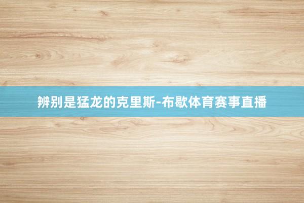 辨别是猛龙的克里斯-布歇体育赛事直播