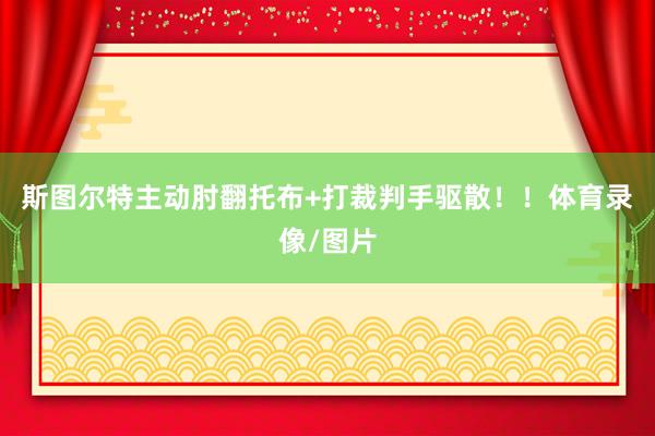 斯图尔特主动肘翻托布+打裁判手驱散！！体育录像/图片