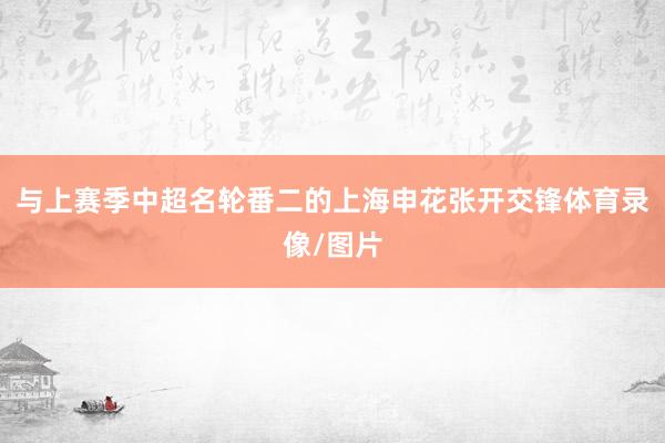 与上赛季中超名轮番二的上海申花张开交锋体育录像/图片