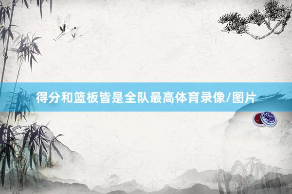 得分和篮板皆是全队最高体育录像/图片
