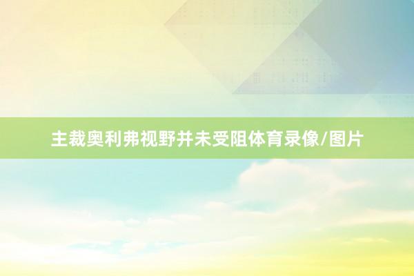 主裁奥利弗视野并未受阻体育录像/图片