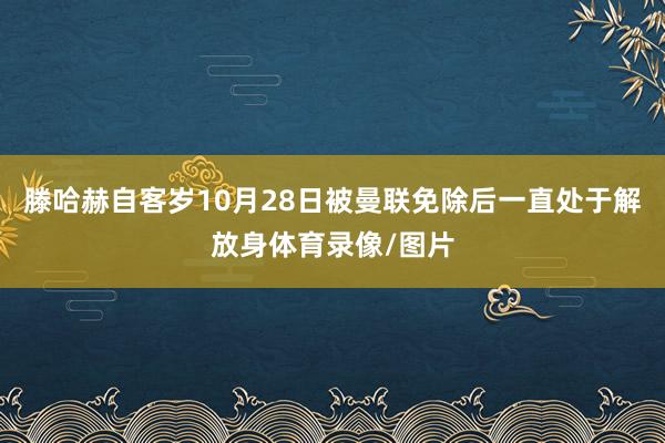 滕哈赫自客岁10月28日被曼联免除后一直处于解放身体育录像/图片
