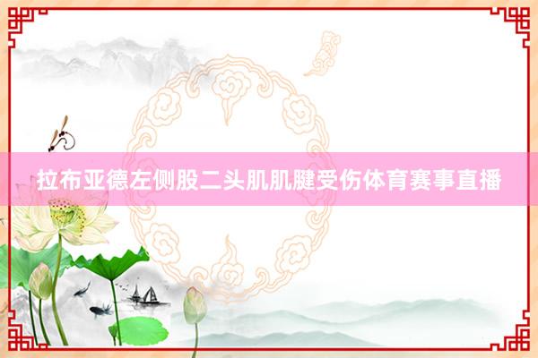 拉布亚德左侧股二头肌肌腱受伤体育赛事直播