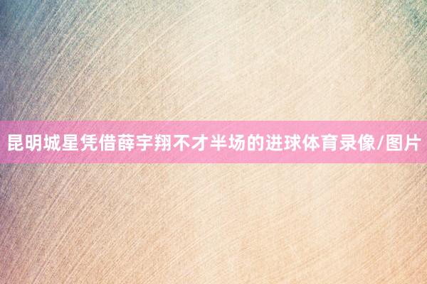 昆明城星凭借薛宇翔不才半场的进球体育录像/图片