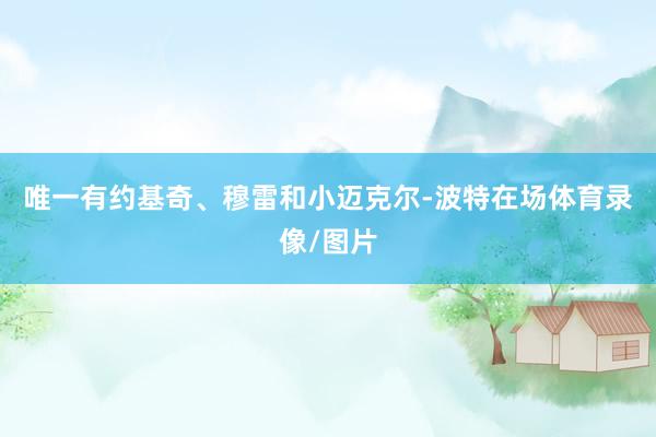 唯一有约基奇、穆雷和小迈克尔-波特在场体育录像/图片