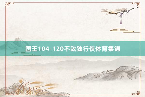 国王104-120不敌独行侠体育集锦