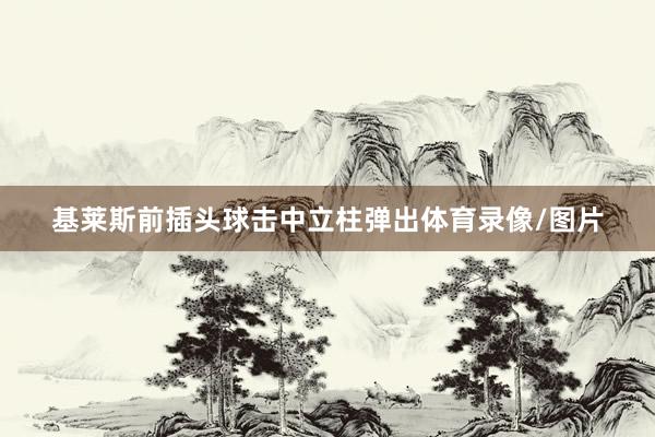 基莱斯前插头球击中立柱弹出体育录像/图片