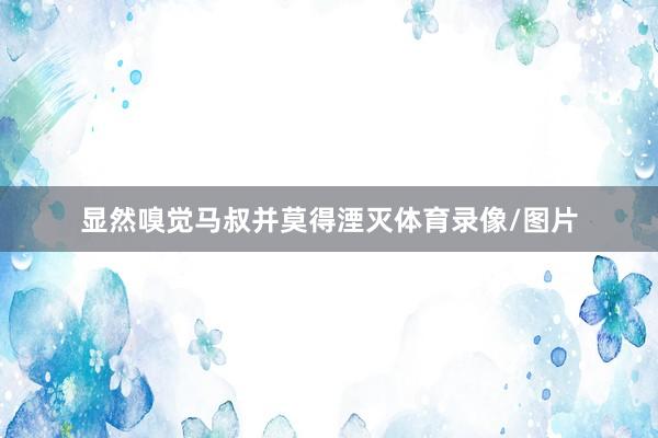 显然嗅觉马叔并莫得湮灭体育录像/图片