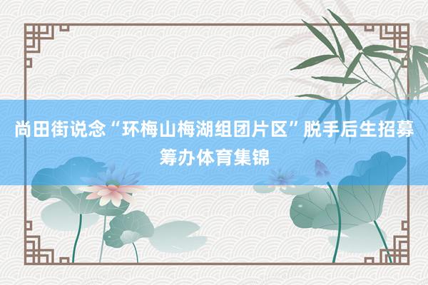 尚田街说念“环梅山梅湖组团片区”脱手后生招募筹办体育集锦