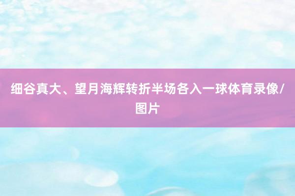 细谷真大、望月海辉转折半场各入一球体育录像/图片