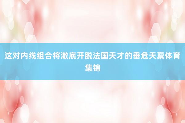 这对内线组合将澈底开脱法国天才的垂危天禀体育集锦