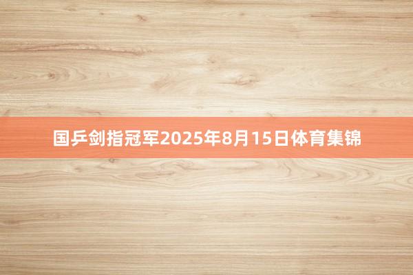 国乒剑指冠军2025年8月15日体育集锦