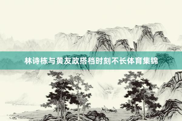 林诗栋与黄友政搭档时刻不长体育集锦