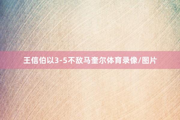 王信伯以3-5不敌马奎尔体育录像/图片
