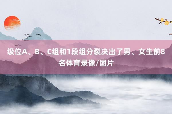 级位A、B、C组和1段组分裂决出了男、女生前8名体育录像/图片