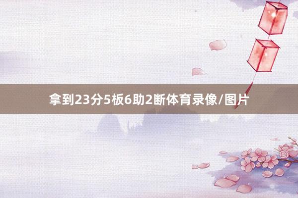 拿到23分5板6助2断体育录像/图片