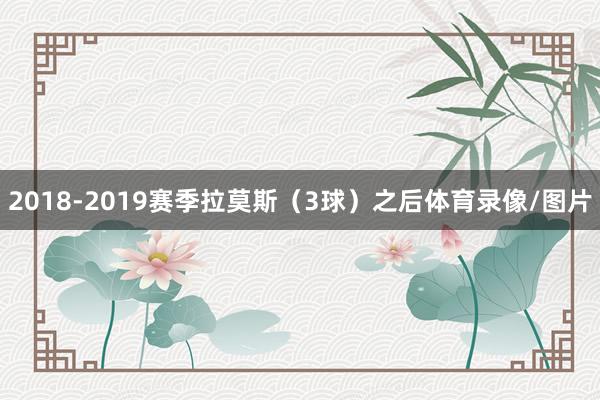 2018-2019赛季拉莫斯（3球）之后体育录像/图片