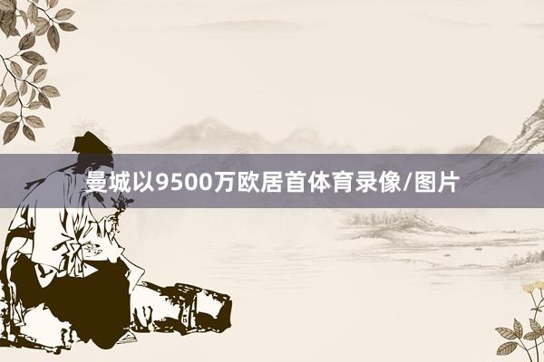 曼城以9500万欧居首体育录像/图片