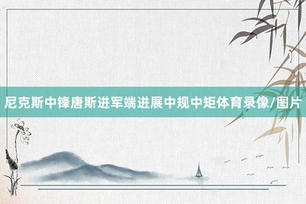 尼克斯中锋唐斯进军端进展中规中矩体育录像/图片