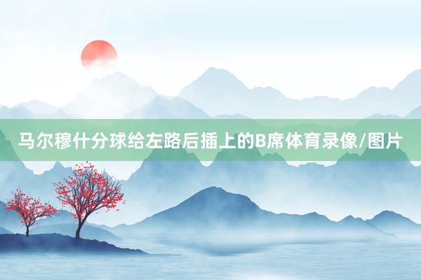 马尔穆什分球给左路后插上的B席体育录像/图片