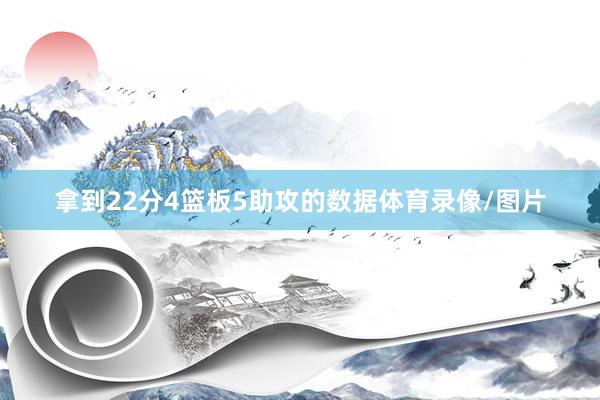 拿到22分4篮板5助攻的数据体育录像/图片
