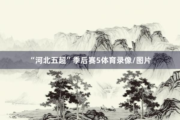 “河北五超”季后赛5体育录像/图片