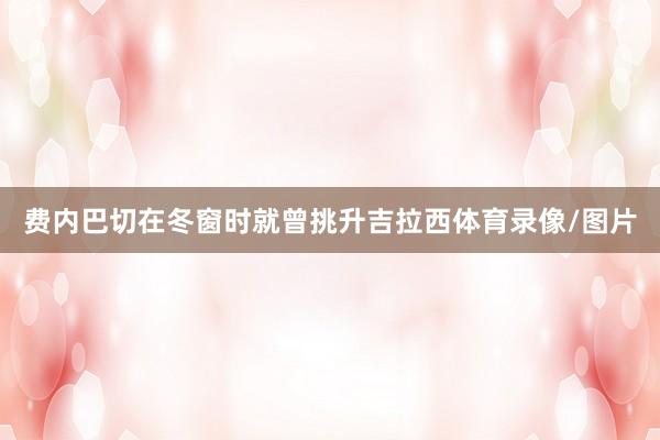 费内巴切在冬窗时就曾挑升吉拉西体育录像/图片