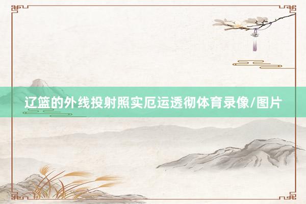 辽篮的外线投射照实厄运透彻体育录像/图片