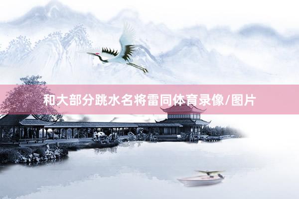 和大部分跳水名将雷同体育录像/图片