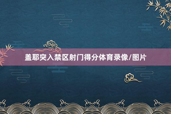 盖耶突入禁区射门得分体育录像/图片