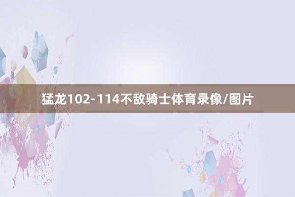猛龙102-114不敌骑士体育录像/图片