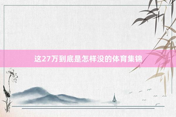这27万到底是怎样没的体育集锦