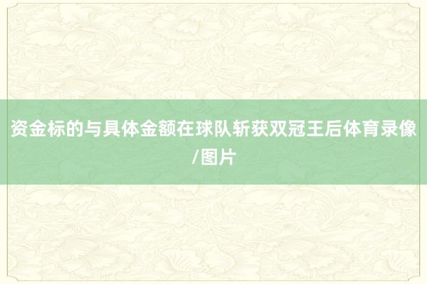 资金标的与具体金额在球队斩获双冠王后体育录像/图片