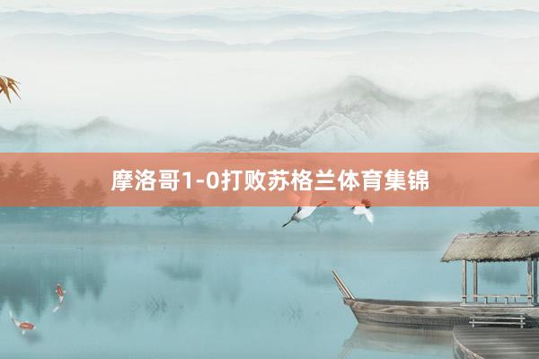 摩洛哥1-0打败苏格兰体育集锦